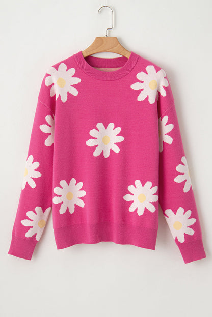 Gracefully Designed Jumper