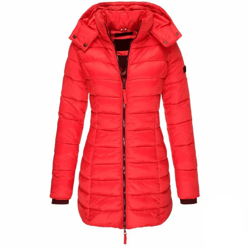 Elegantly Designed Jacket