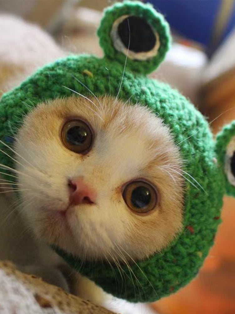 Animal Funny Crochet Hat elevenforest