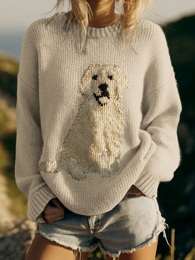 Thoughtfully Designed Jumper