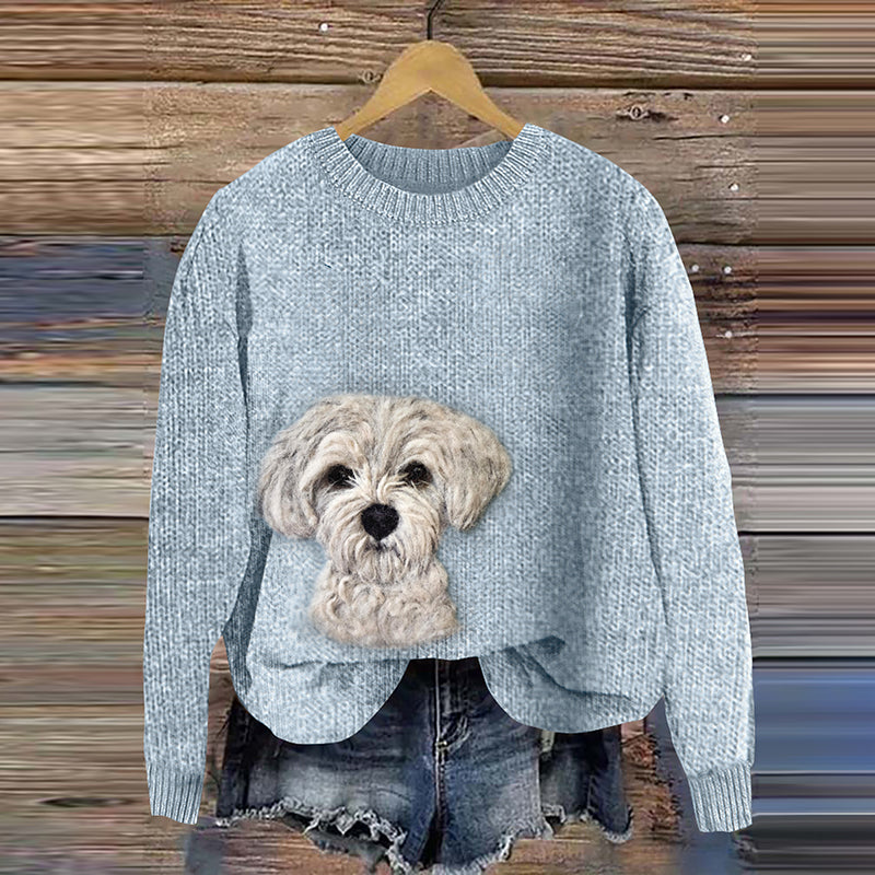 Thoughtfully Designed Jumper