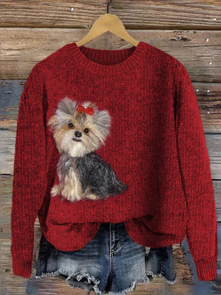 Elegantly Designed Jumper