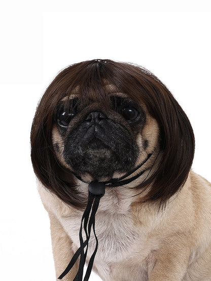 Dog Hair Wig elevenforest