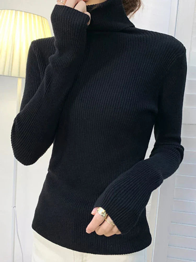 Thoughtfully Designed Jumper