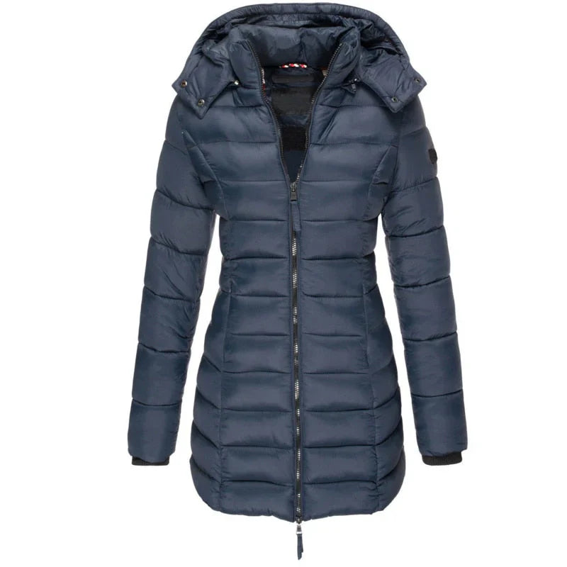 Elegantly Designed Jacket
