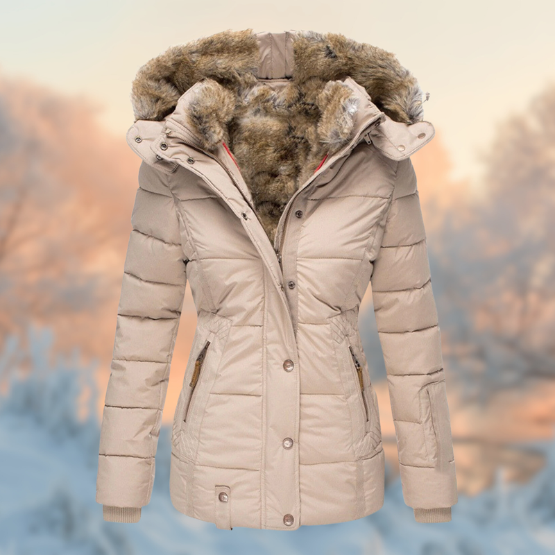 Elegantly Designed Jacket