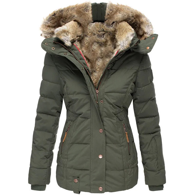 Elegantly Designed Jacket
