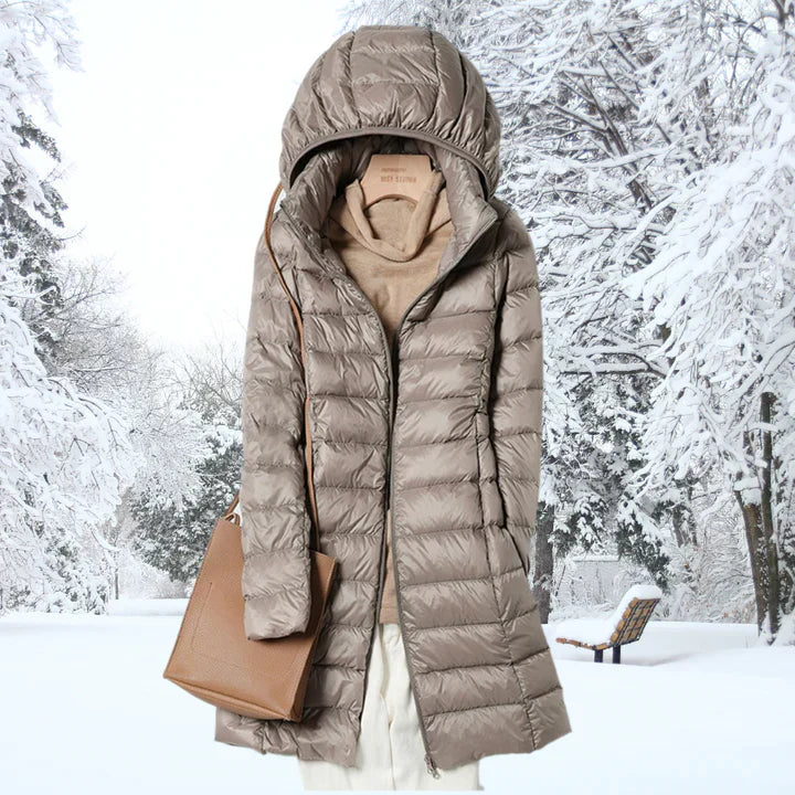 Elegantly Designed Jacket