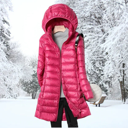 Elegantly Designed Jacket