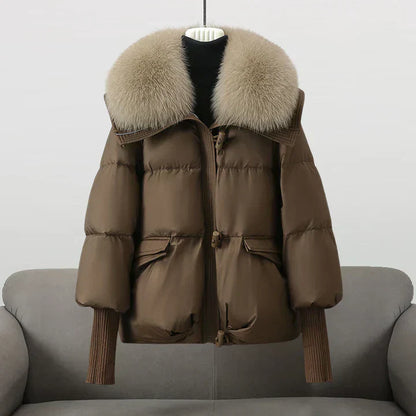 Classic Designed Jacket