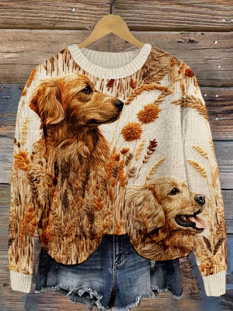 Thoughtfully Designed Jumper