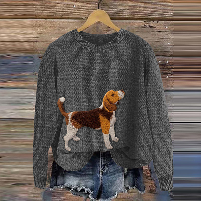 Thoughtfully Designed Jumper