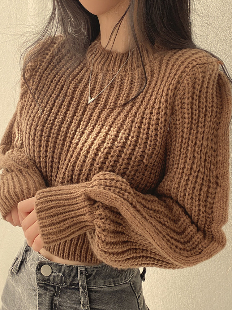 Elegantly Designed Jumper